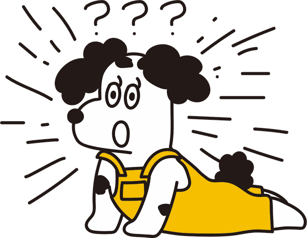 잭슨
