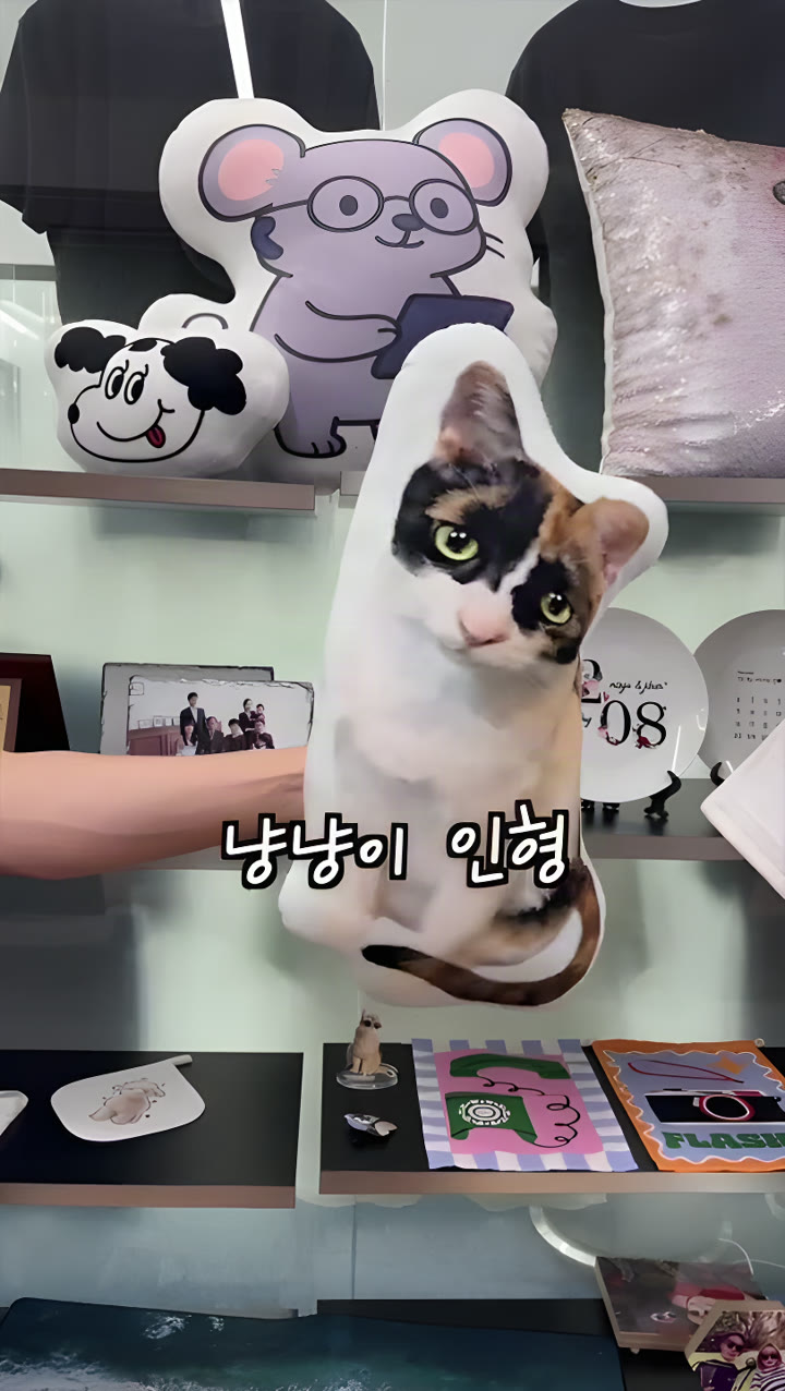 반려묘 실사 인형